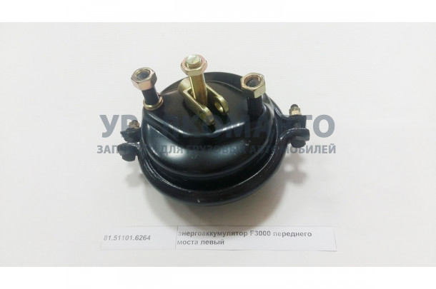 Энергоаккумулятор передний левый F3000 SHAANXI 81.51101.6264