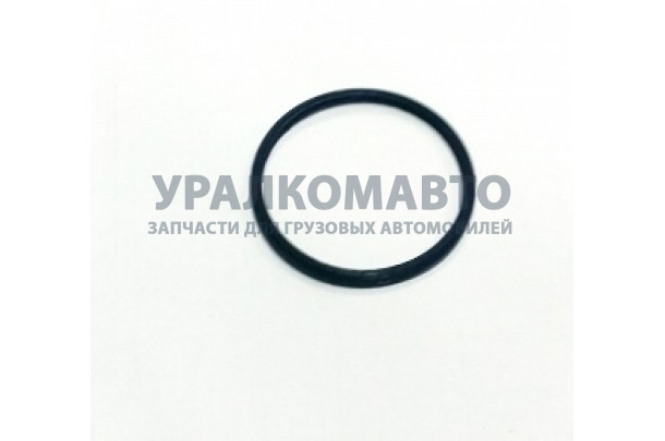 Кольцо уплотнительное термостата дв.  ISF2.8 D=60 d=55 
